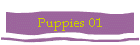 Puppies 01